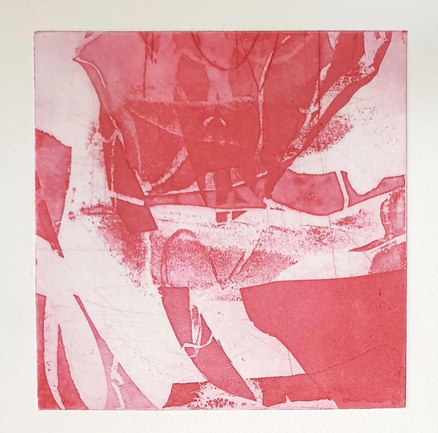 wendy stokes deatil image_visible but intangible  Sydney printmakers portfolio