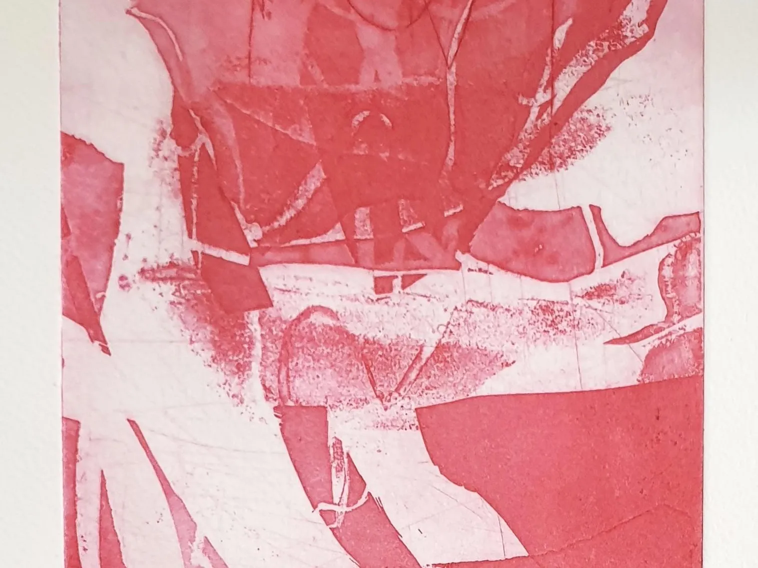 wendy stokes deatil image_visible but intangible Sydney printmakers portfolio